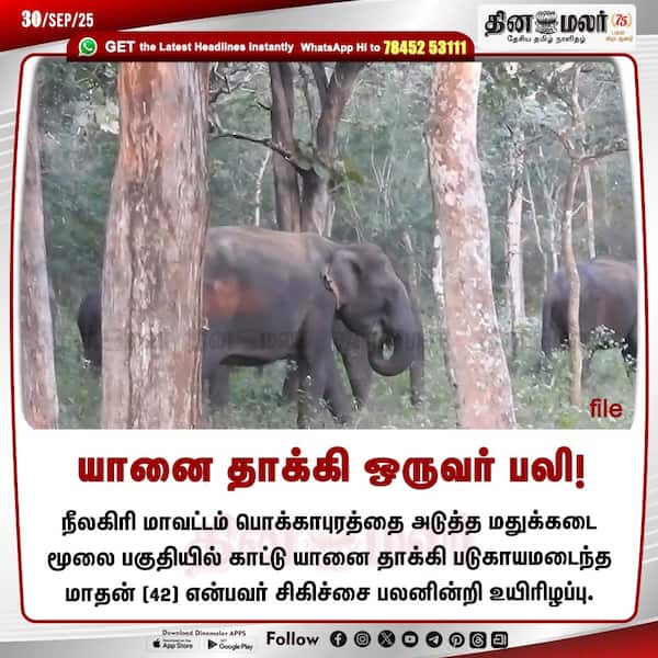 யானை தாக்கி ஒருவர் பலி! 