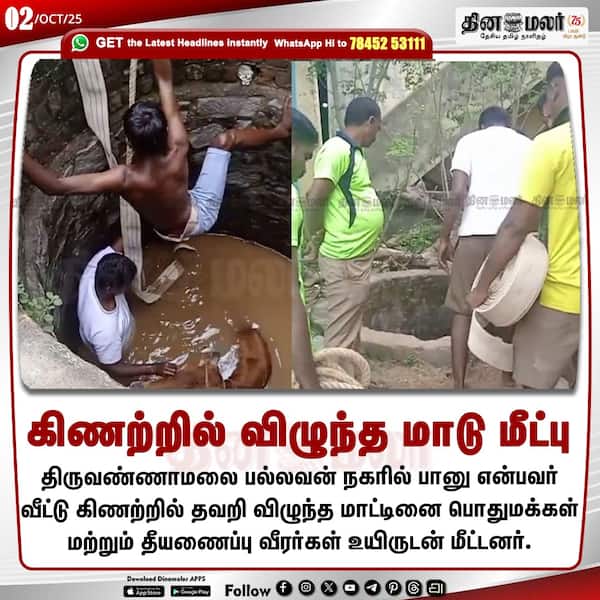 கிணற்றில் விழுந்த மாடு மீட்பு 