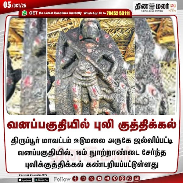 வனப்பகுதியில் புலி குத்திக்கல் 
