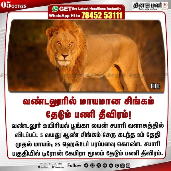 வண்டலூரில் மாயமான சிங்கம் தேடும் பணி தீவிரம்! 