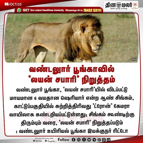 வண்டலுார் பூங்காவில் லயன் சபாரி நிறுத்தம் 