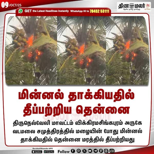 மின்னல் தாக்கியதில் தீப்பற்றிய தென்னை 