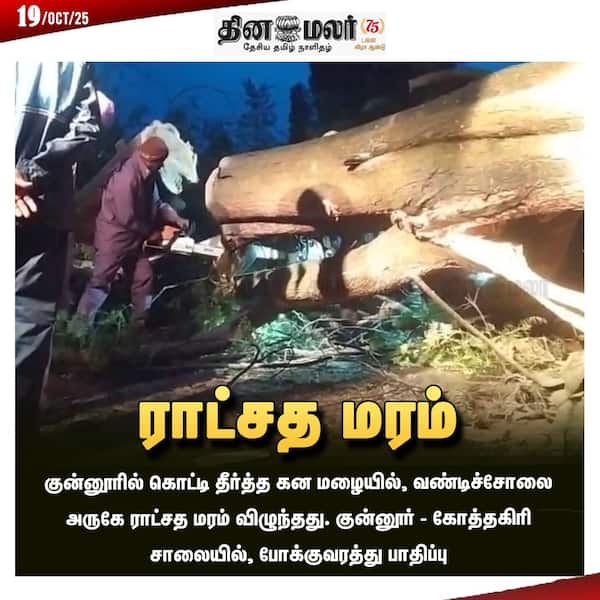 ராட்சத மரம் 