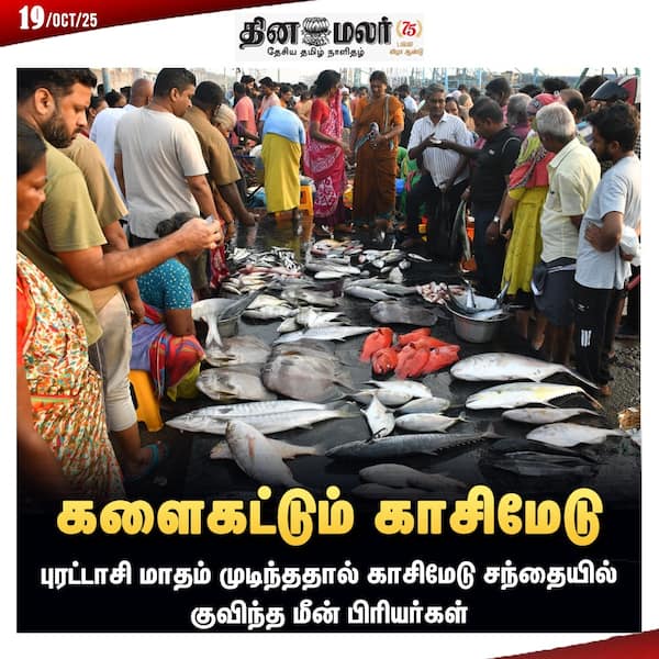 களைகட்டும் காசிமேடு 