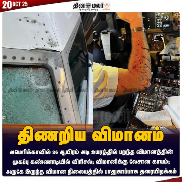திணறிய விமானம் 