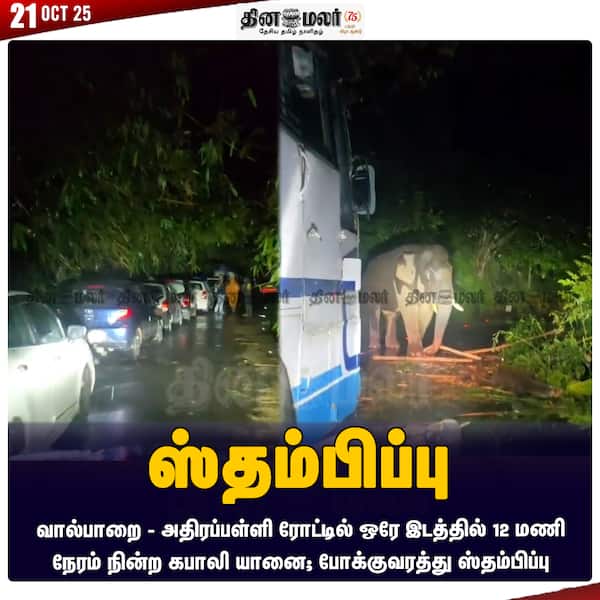 ஸ்தம்பிப்பு 
