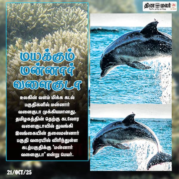 மயக்கும் மன்னார் வளைகுடா 