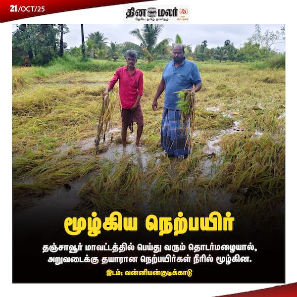 மூழ்கிய நெற்பயிர் 