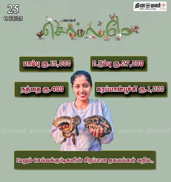 மேலும் செல்லக்குட்டிகளின் சிறப்பான தகவல்கள் அறிய. 
