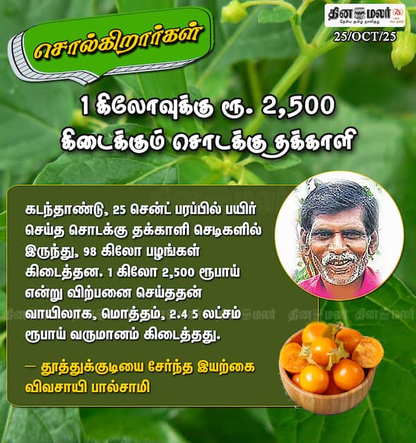 1 கிலோவுக்கு ரூ. 2500 கிடைக்கும் சொடக்கு தக்காளி 