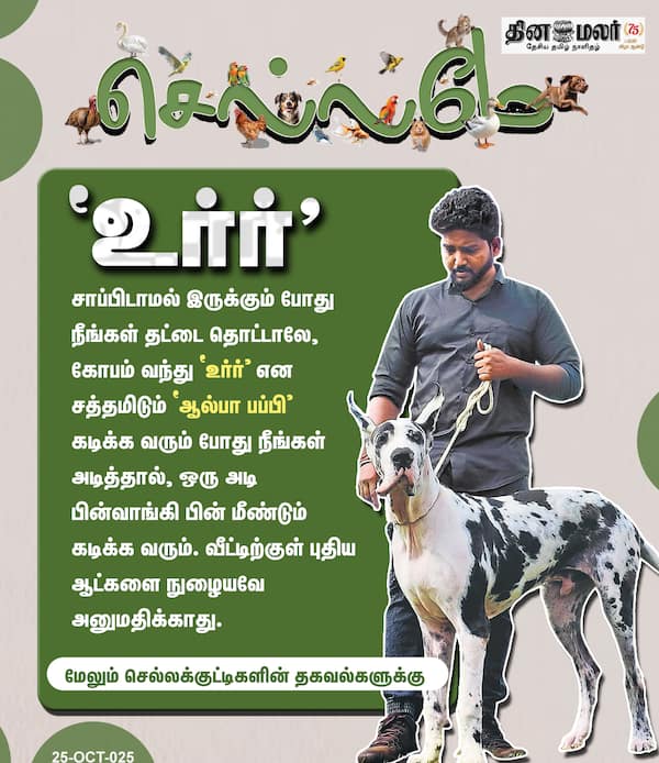 உர்ர் 
