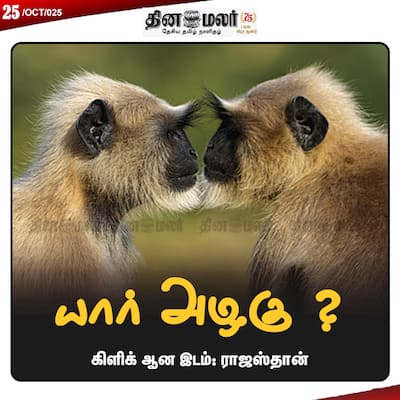socialcards