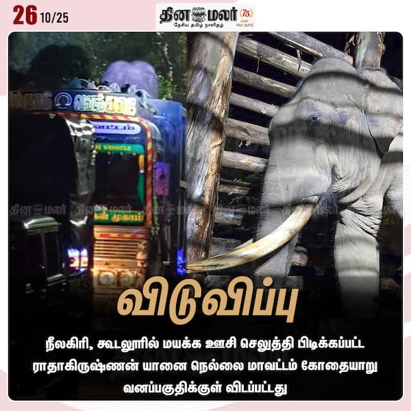 விடுவிப்பு 
