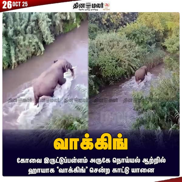 வாக்கிங் 