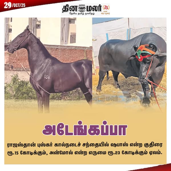 அடேங்கப்பா 