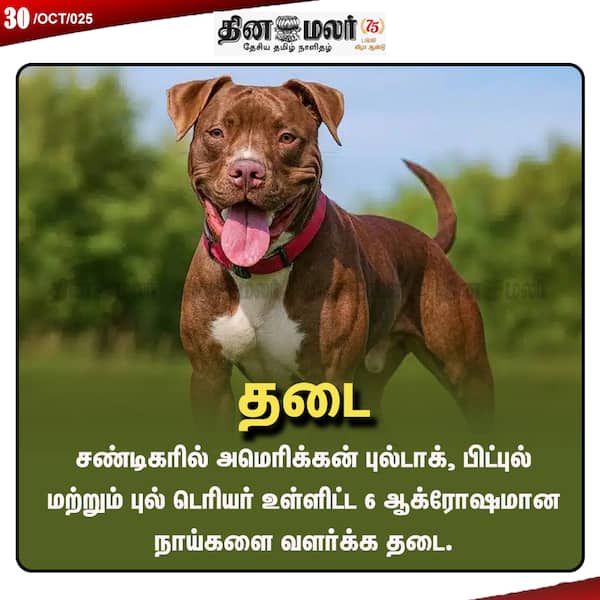 தடை 
