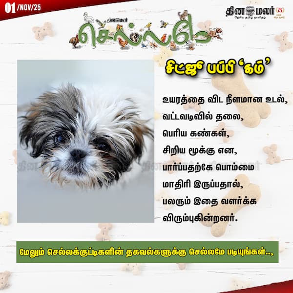 சிட்ஜூ பப்பி கம் 