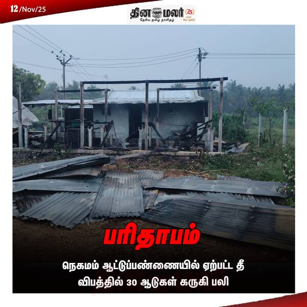 பரிதாபம்.