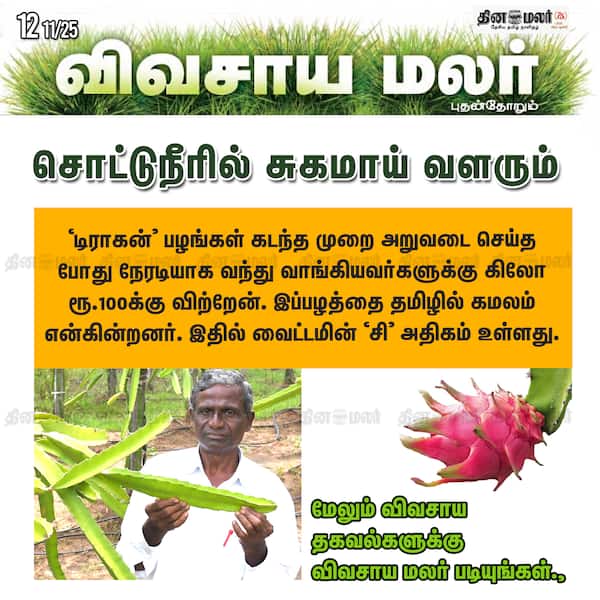 சொட்டுநீரில் சுகமாய் வளரும் 