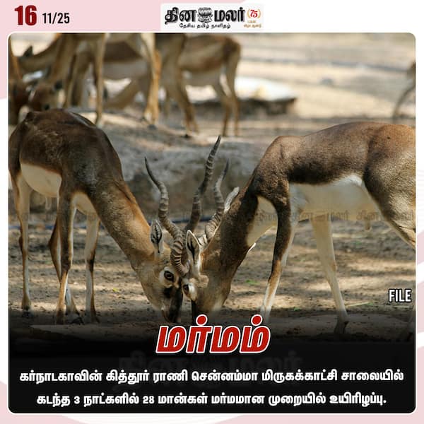 மர்மம் 