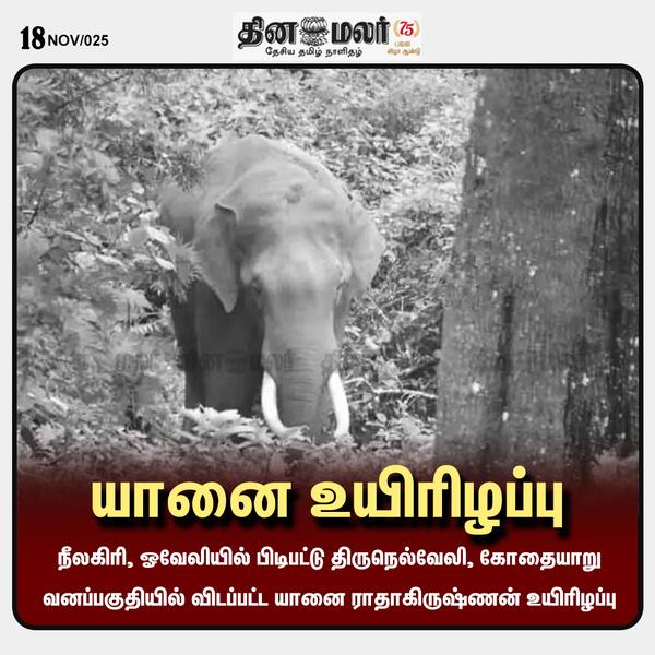  யானை உயிரிழப்பு 