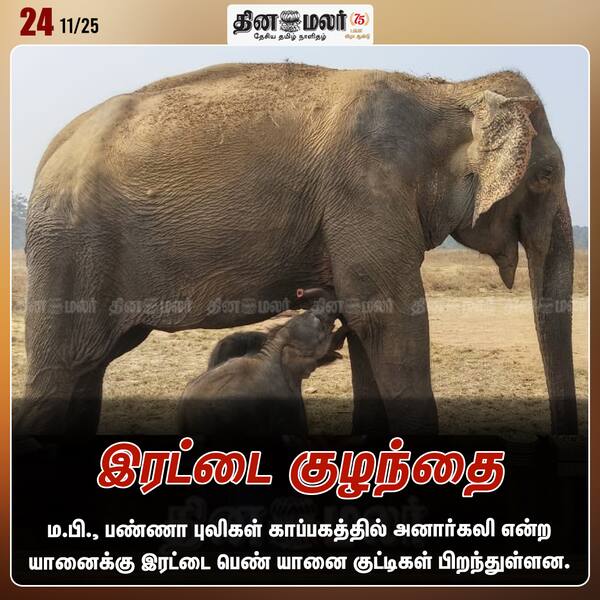 இரட்டை குழந்தை 