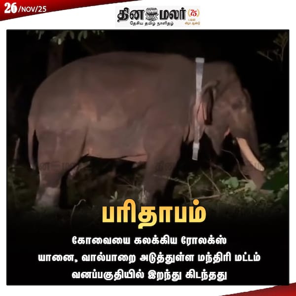 பரிதாபம் 