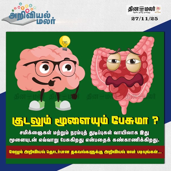 குடலும் மூளையும் பேசுவதை ஒட்டு கேட்கலாம் 
