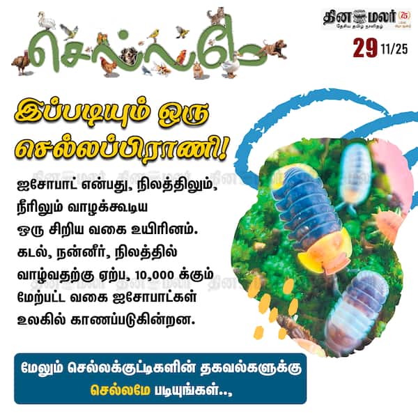 இப்படியும் ஒரு செல்லப்பிராணி! 