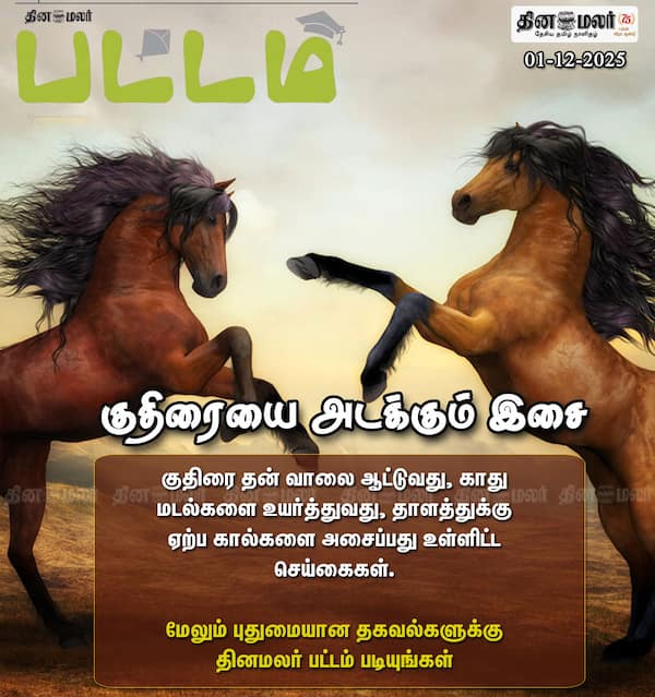 குதிரையை அடக்கும் இசை 