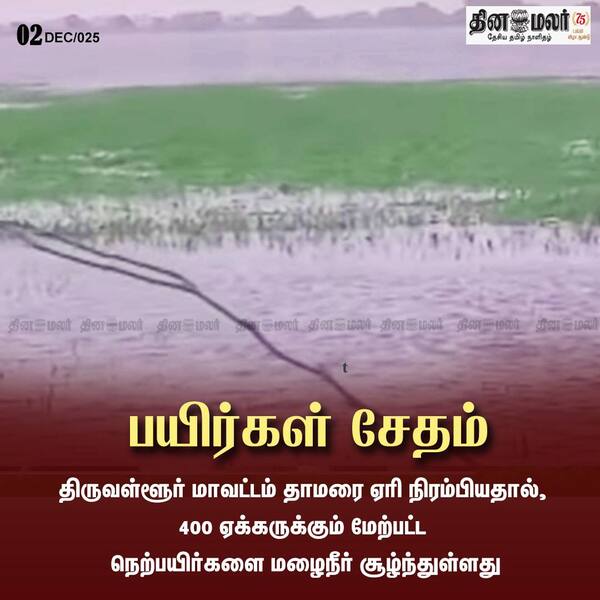 பயிர்கள் சேதம் 