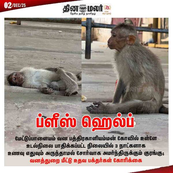 ப்ளீஸ் ஹெல்ப் 