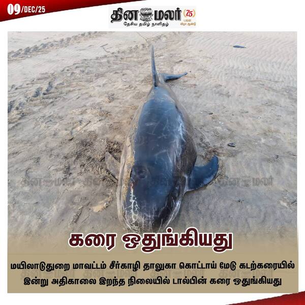 கரை ஒதுங்கியது 