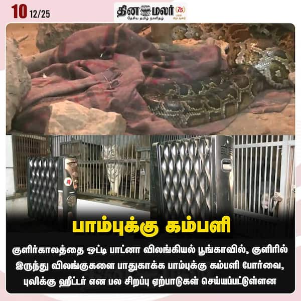 பாம்புக்கு கம்பளி 