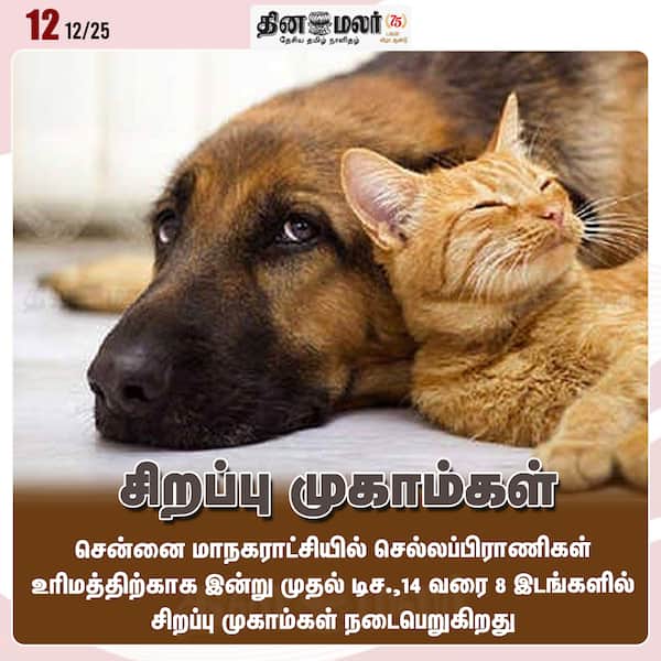 சிறப்பு முகாம்கள்