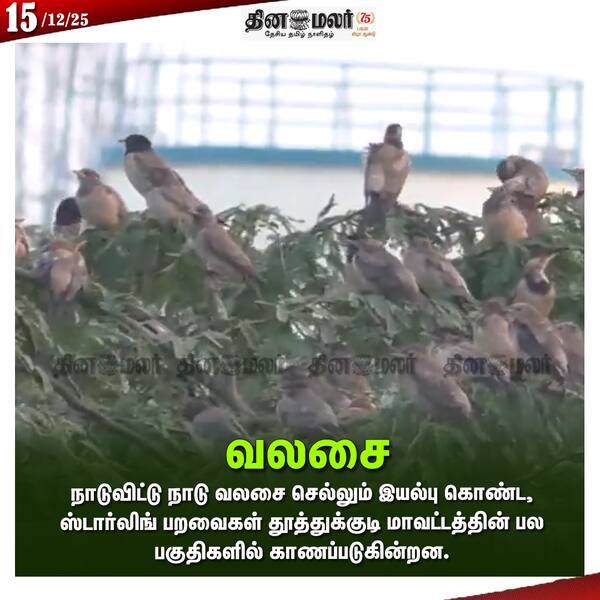  வலசை 