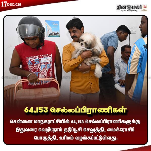 64153 செல்லப்பிராணிகள்