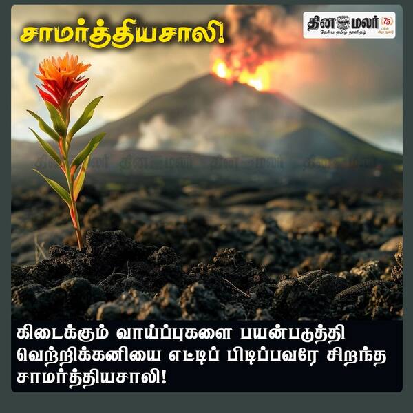  சாமர்த்தியசாலி! 