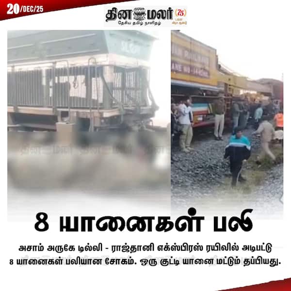 பெரும் சோகம் 