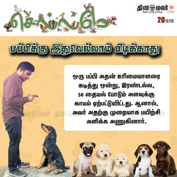 பப்பிக்கு இதுவெல்லாம் பிடிக்காது 