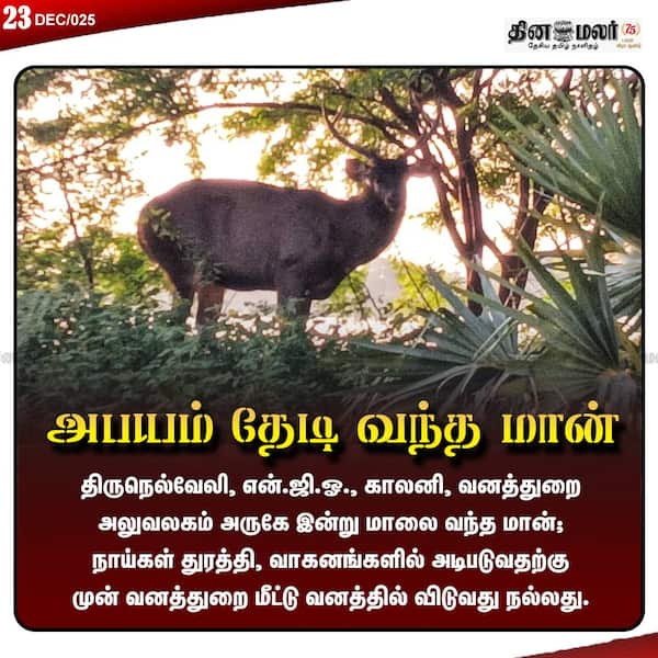 அபயம் தேடி வந்த மான்