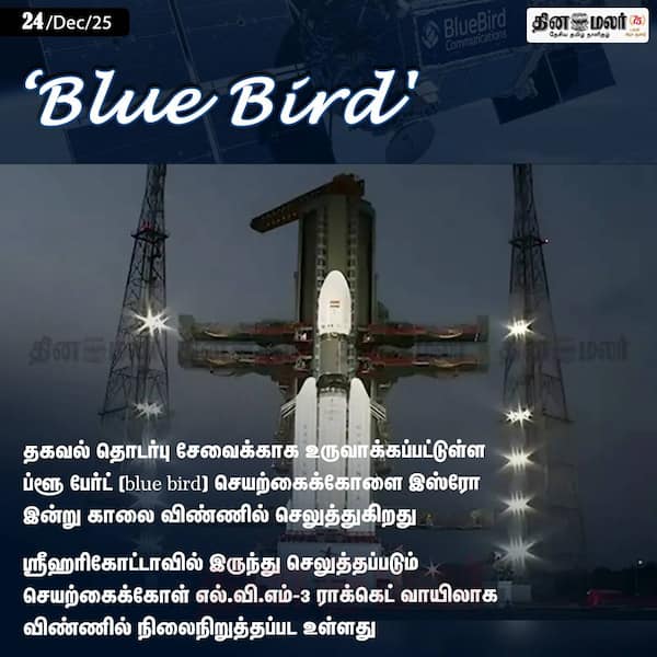 Blue Bird 