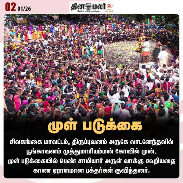 முள் படுக்கை 