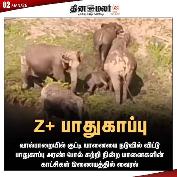 Z+ பாதுகாப்பு