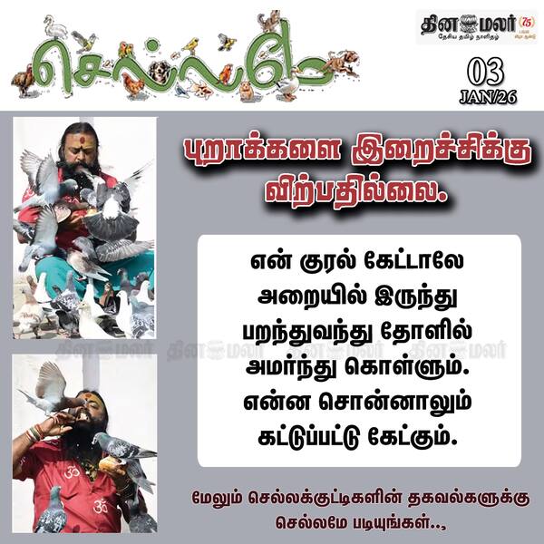 புறாக்களை இறைச்சிக்கு விற்பதில்லை