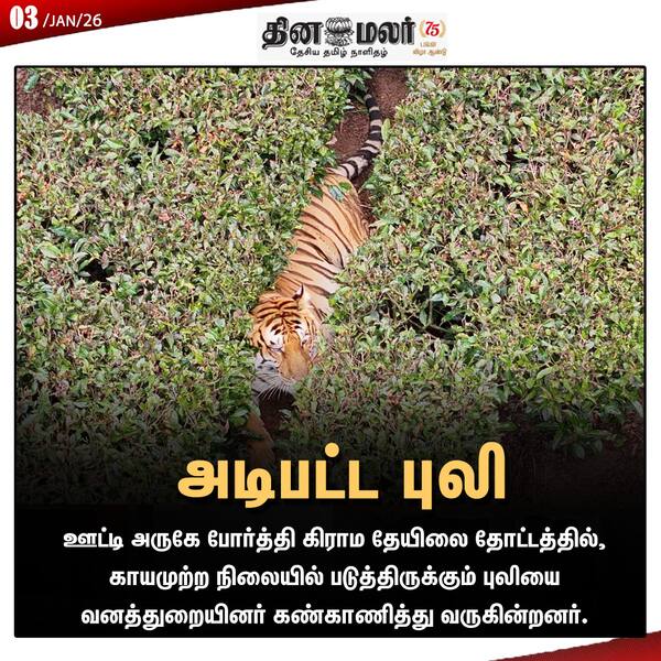 அடிபட்ட புலி 