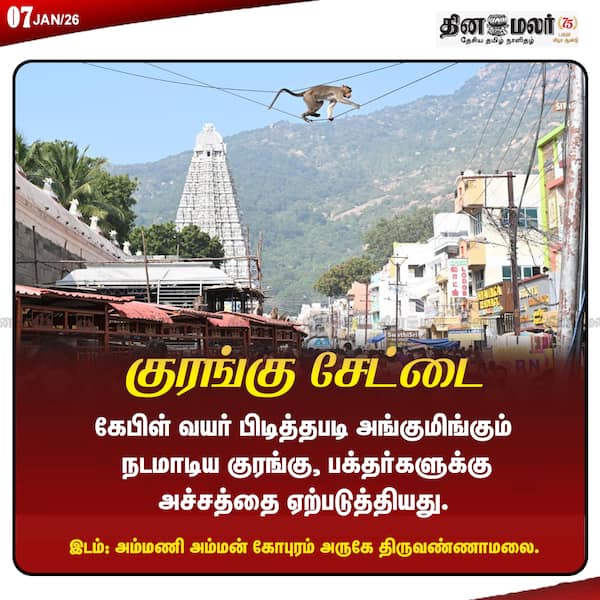 குரங்கு சேட்டை 