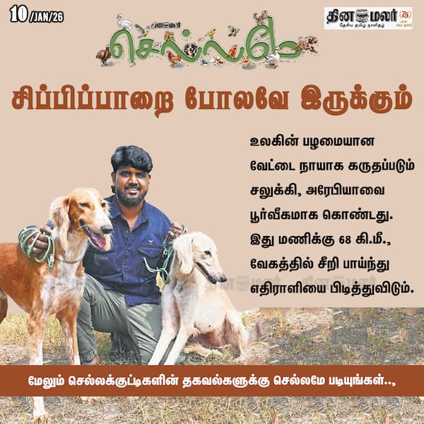 சிப்பிப்பாறை போலவே இருக்கும் 