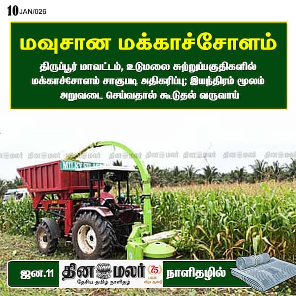 மவுசான மக்காச்சோளம் 