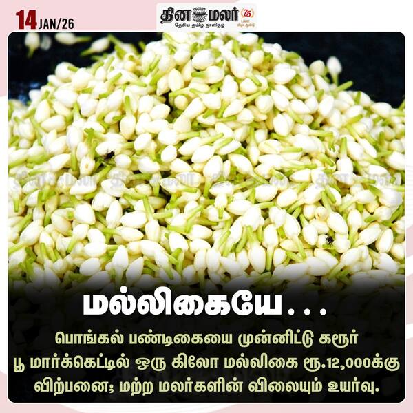 மல்லிகையே… 